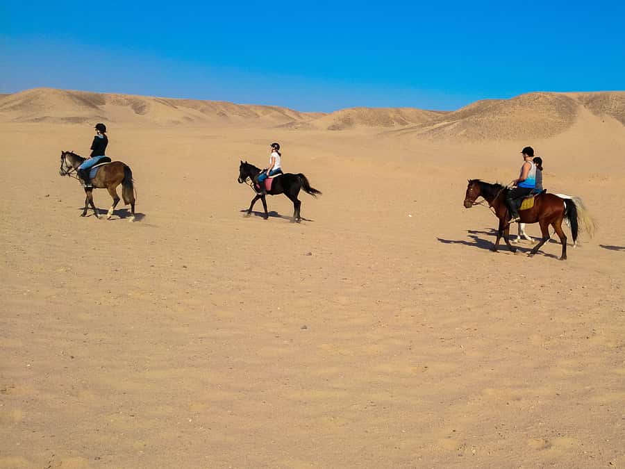 El Gouna: Desert & Sea Horse Riding With Swimming Optional - Choosing sunrise, afternoon, or sunset