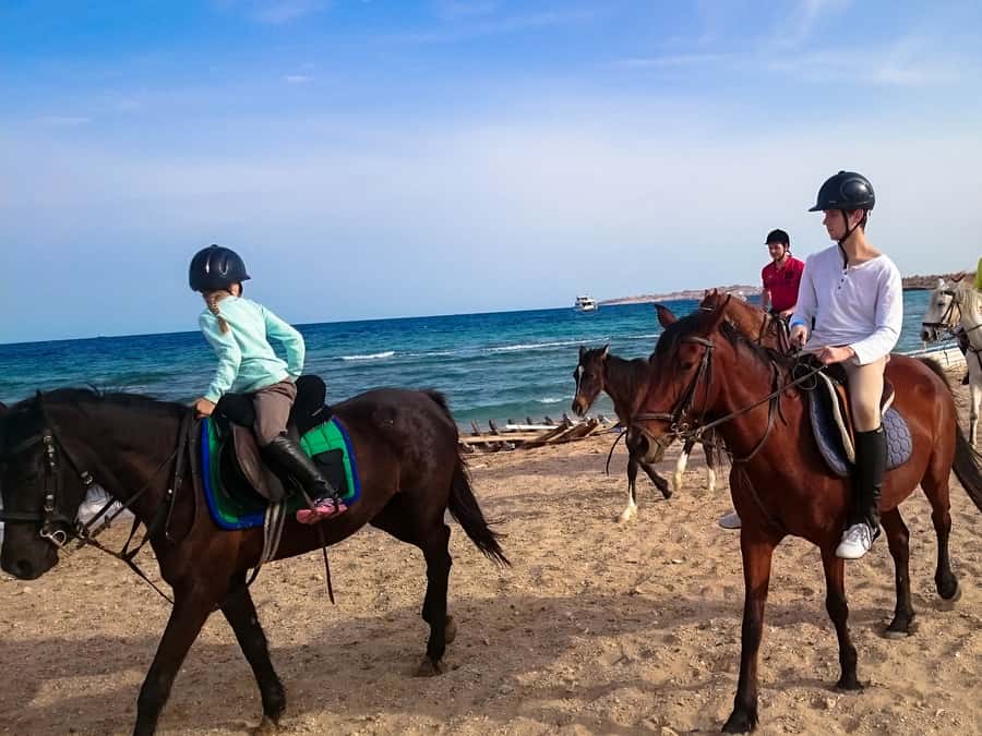 El Gouna: Desert & Sea Horse Riding With Swimming Optional - The four-hour VIP swim stop