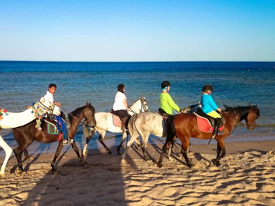 El Gouna: Desert & Sea Horse Riding With Swimming Optional - What the combination tour adds