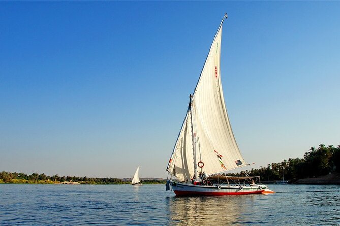 Enjoy 4 nights Nile Cruise Luxor&Aswan&Abu Simbel&Balloon from Cairo by plane - Day 4: The early road to Abu Simbel