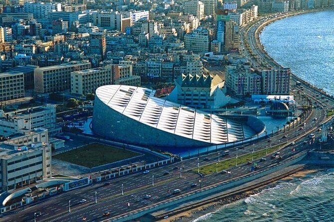 Enjoy A Full-Day Tour to Alexandria From Cairo Private - The Roman Amphitheatre and Pompey’s Pillar
