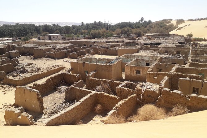 Enjoy safari The black and white desert two night 3 days - Is $650 good value for two people?