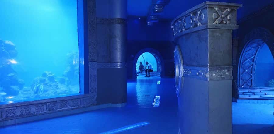 Entry Ticket: Grand Aquarium Hurgada - Key points to know before you go