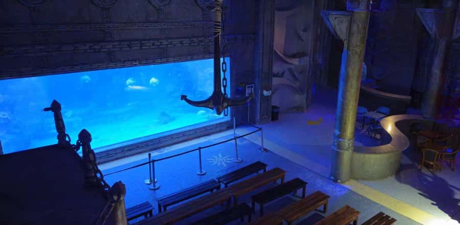 Entry Ticket: Grand Aquarium Hurgada - Twenty-two aquariums with a Red Sea focus