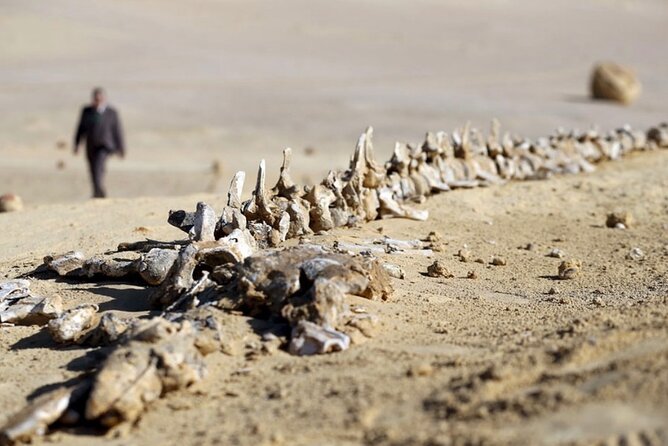 Fayoum 4x4 Safari Adventure, Sandboarding, Lunch, Felucca - Magic Lake and a Bedouin Lunch