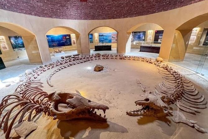 Fayoum Oasis Tour Hidden Gem Wadi El Rayan & Valley of the Whales - Wadi Al Hitan and the story written in bone