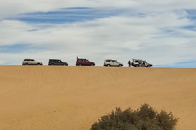 Fayoum Oasis Tour Hidden Gem Wadi El Rayan & Valley of the Whales - What the $130 price really covers