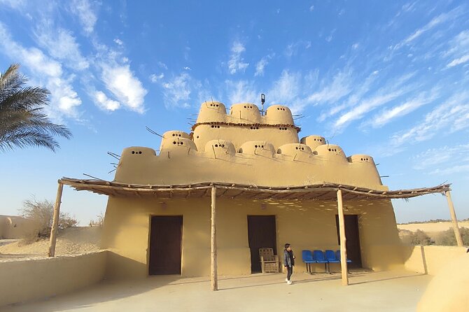 Fayoum Oasis Tour Hidden Gem Wadi El Rayan & Valley of the Whales - The guide can shape the whole day