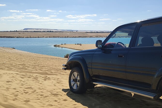 Fayoum Oasis Tour Hidden Gem Wadi El Rayan & Valley of the Whales - Lunch at the desert camp
