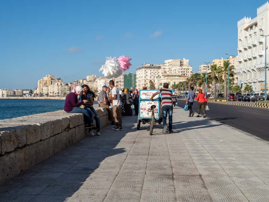 From Alexandria:- Alexandria Top Highlights half-day tour - Key points to know before you book