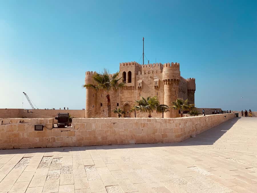 From Alexandria:- Alexandria Top Highlights half-day tour - The old eastern harbor, Saint Mark Cathedral, and the city’s largest mosque