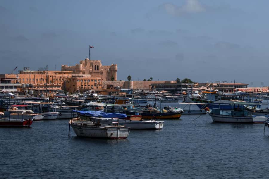 From Alexandria:- Alexandria Top Highlights half-day tour - A chance to try Alexandria’s local food