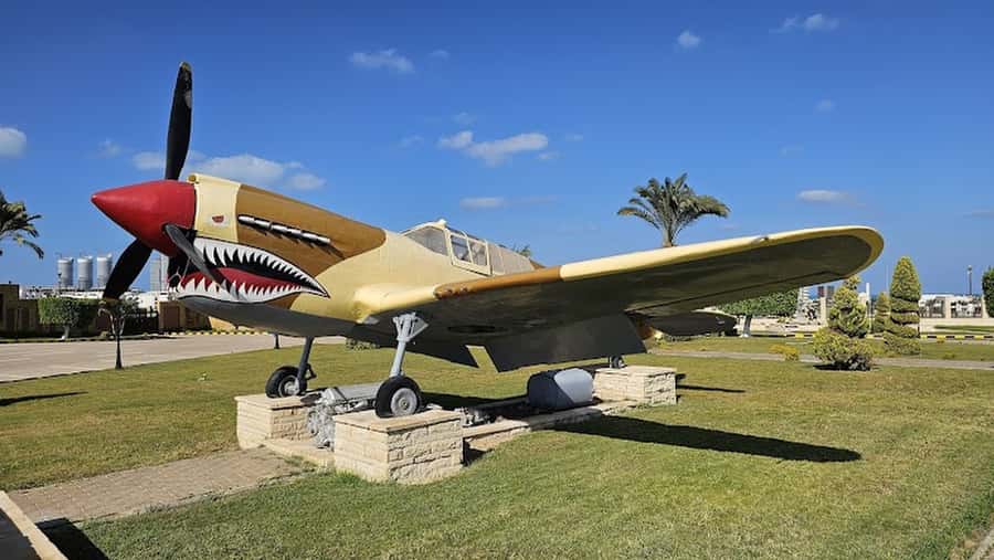 From Alexandria: El Alamein Day Trip - Key points at a glance