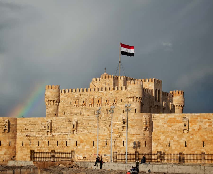 From Alexandria: Highlights of Alexandria Full City Tour - Local food, coffee, and the taste of the city