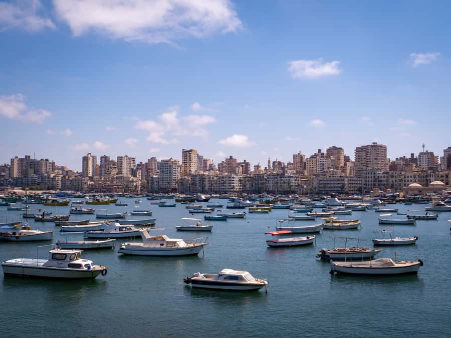 From Alexandria: Highlights of Alexandria Full City Tour - The Roman amphitheater and public Alexandria