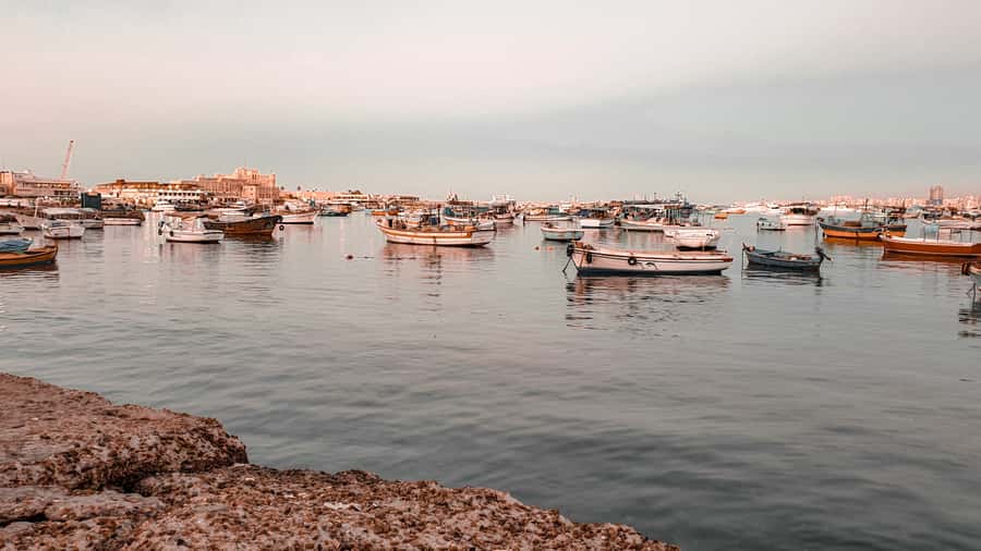 From Alexandria: Highlights of Alexandria Full City Tour - Saint Mark’s Cathedral and its lesser-known galleries