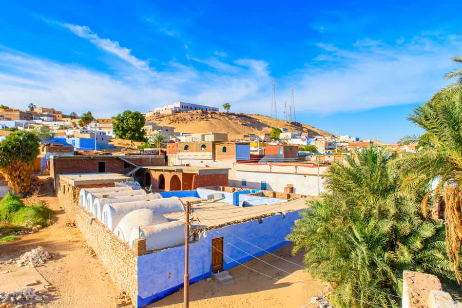 From Aswan: Philae Temple & Motorboat Tour to Nubian Village - Guides, languages, and the quality of explanations