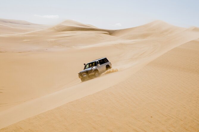 From Cairo 4x4 Safari, Camel Ride, Magic Lake, Waterfalls & Lunch - Key points at a glance