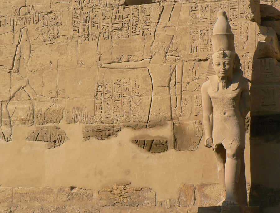 From Cairo: 5-Day Tour with Nile Cruise, Balloon, & Flights - Should you book it?