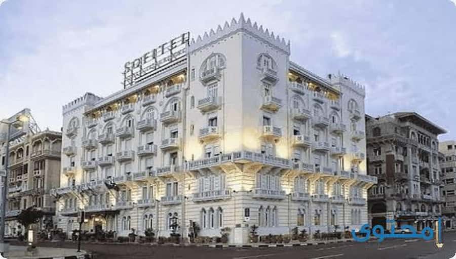 From Cairo: Alexandria Day Tour with Lunch - The Cairo to Alexandria road