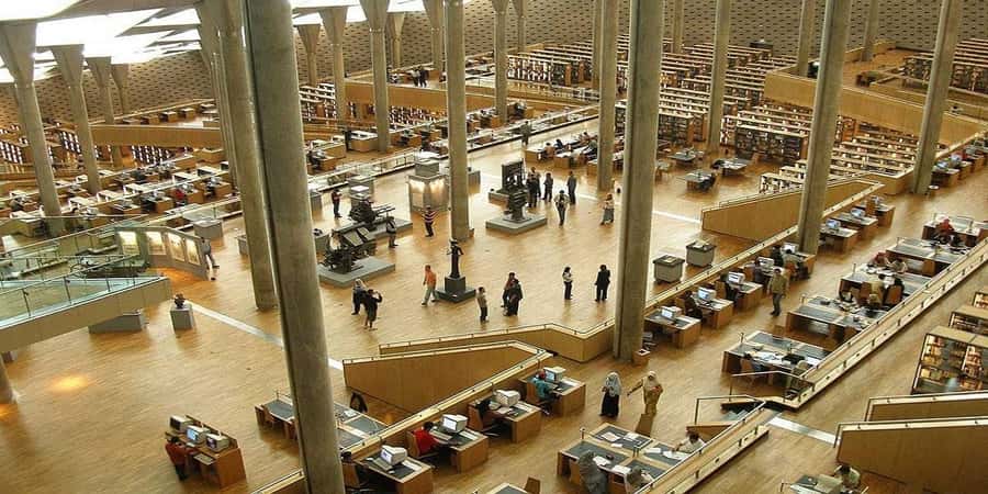 From Cairo: Alexandria Private Day Tour with Guide and Lunch - Who will enjoy this day trip most?