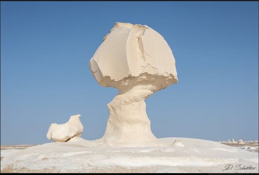 From Cairo: Bahariya Oasis and Black and White Desert Tour - Key points to know before booking