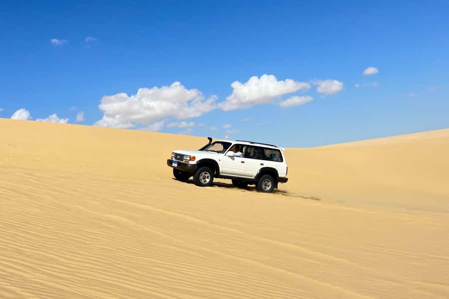 From Cairo: Desert Safari, Camel Ride, Magic Lake, & Lunch - Key points to know before you book