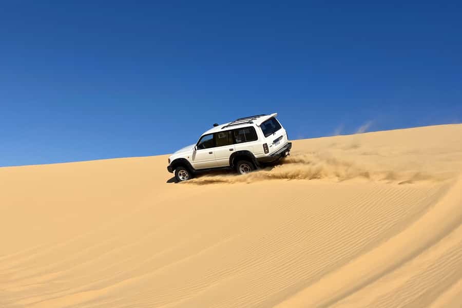 From Cairo: Desert Safari, Camel Ride, Magic Lake, & Lunch - A Bedouin camp and BBQ lunch restore your energy