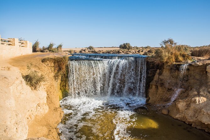 From Cairo: Desert Safari, Waterfalls, Sand boarding and Camel ride with Lunch - 4x4 dune driving and sandboarding