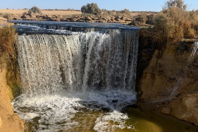 From Cairo: Desert Safari, Waterfalls, Sand boarding and Camel ride with Lunch - Timing, weather, and practical concerns