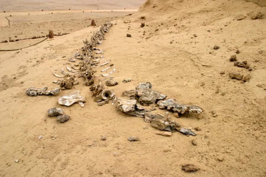 From Cairo: El Fayoum Private Day Trip with Lunch - Jabal El Medawara and wide desert views