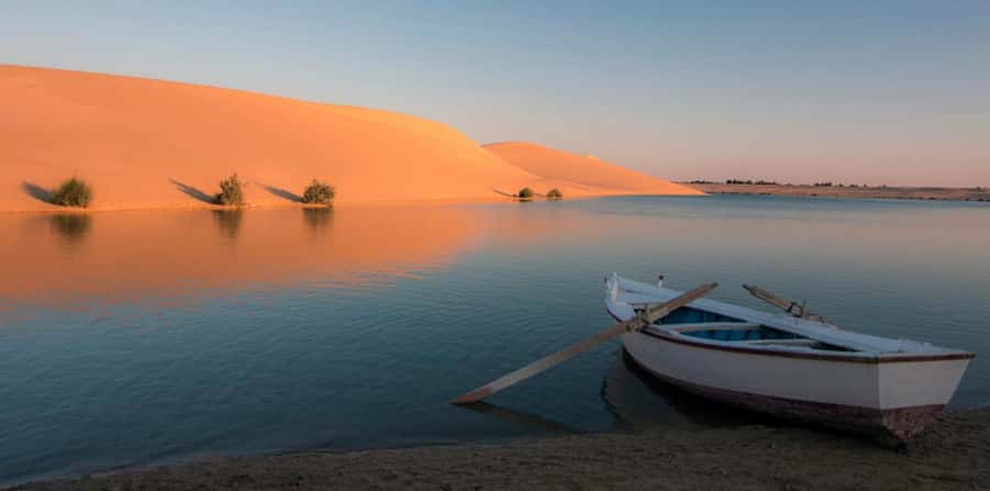 From Cairo: Fayoum Oasis and Wadi Al Rayan Guided Tour - Karanis, Fayoum Museum, and the ancient stops