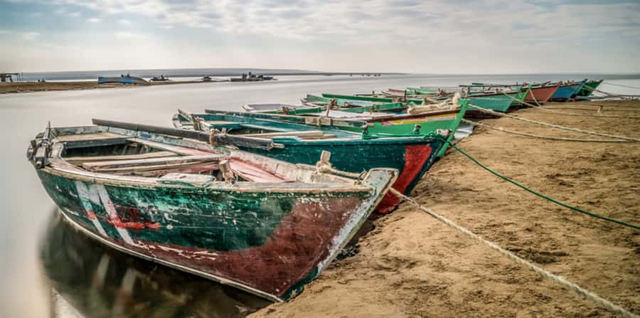 From Cairo: Fayoum Oasis and Wadi Al Rayan Guided Tour - Lunch, desert views, and the optional-feeling extras