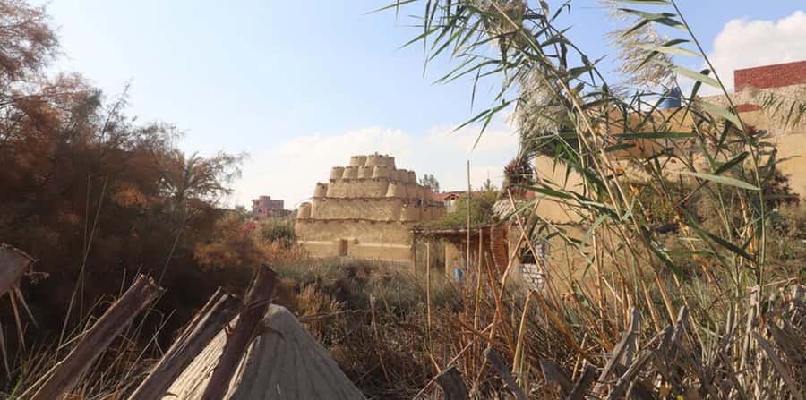 From Cairo: Fayoum Oasis and Wadi Al Rayan Guided Tour - Guides, languages, and the importance of good communication