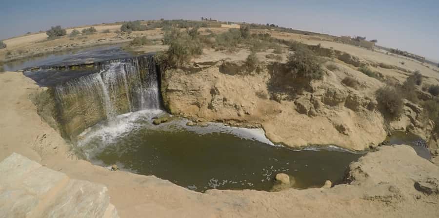 From Cairo: Fayoum Oasis and Wadi Al Rayan Guided Tour - Qaroun Lake and the surprising water of Fayoum