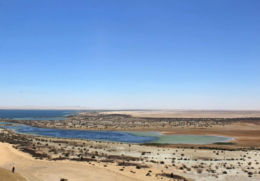 From Cairo: Full-Day Tour to El Fayoum - Valley of the Whales and the fossil museum
