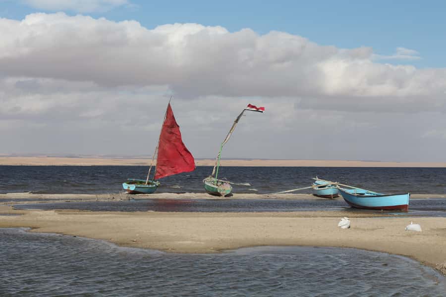 From Cairo: Full-Day Tour to El Fayoum - Magic Lake, mountain views, and sandboarding