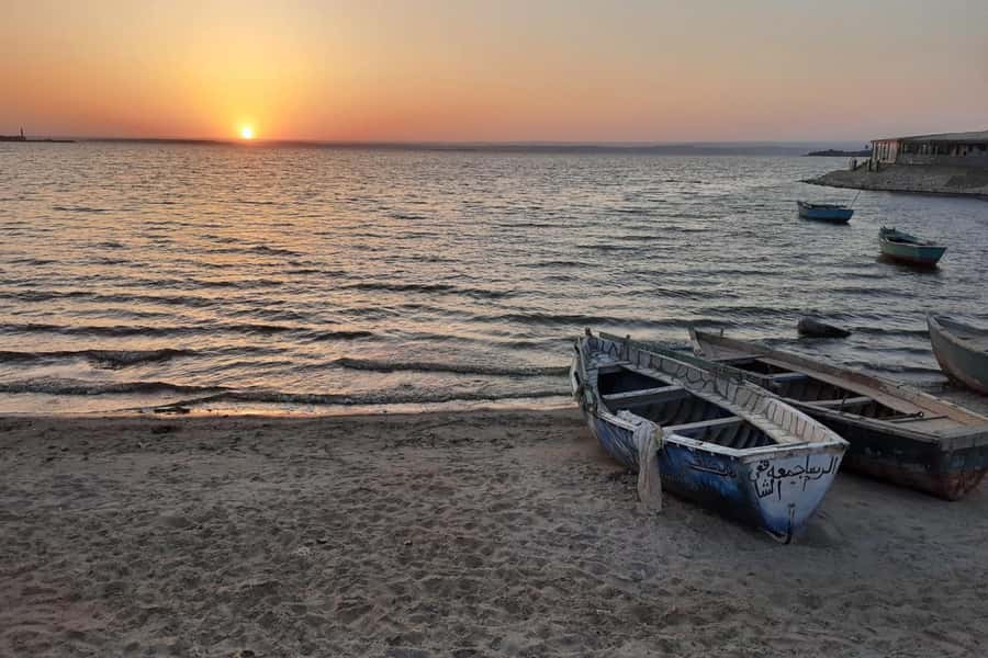 From Cairo: Full-Day Tour to El Fayoum - Lunch at a desert camp
