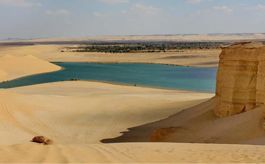 From Cairo: Full-Day Tour to El Fayoum - Tunis Village and the view across the lake