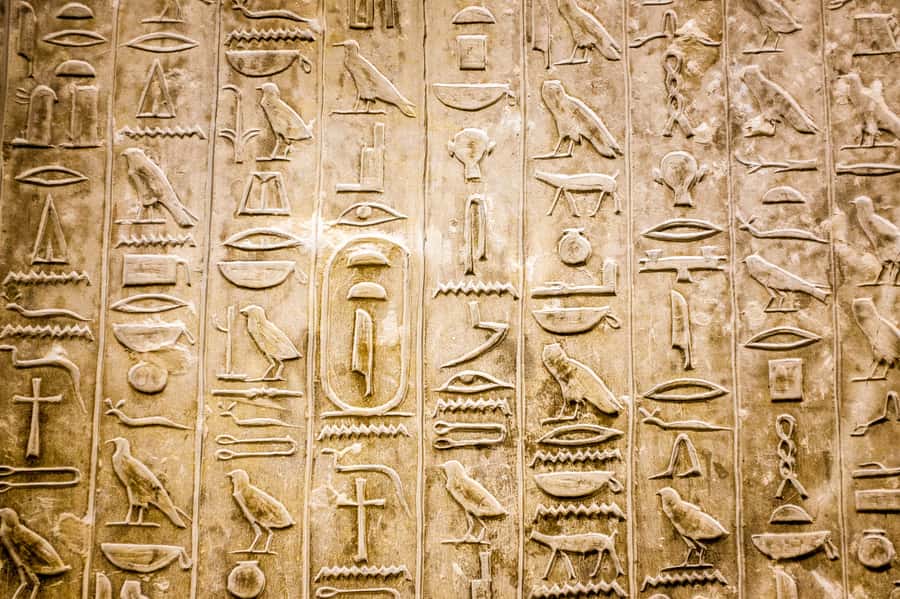 From Cairo/Giza: Pyramids, Memphis, and Sakkara Day Tour - Shared, private, or VIP: picking the right version