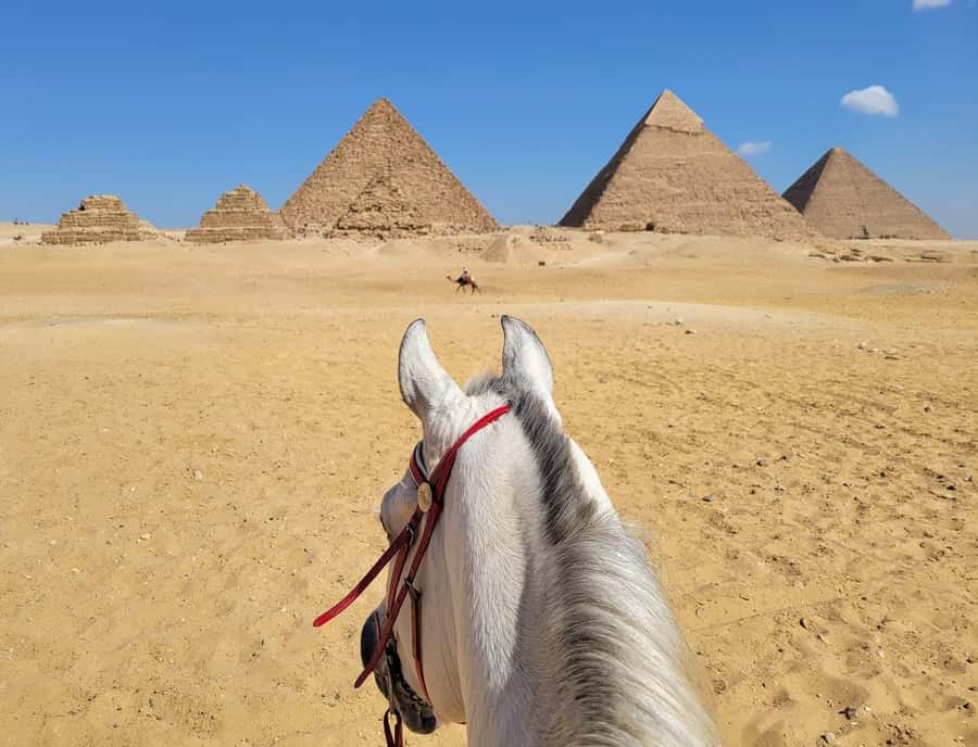 From Cairo or Giza: Giza Pyramids and Sphinx Private Tour - Guide quality and the value of a private group