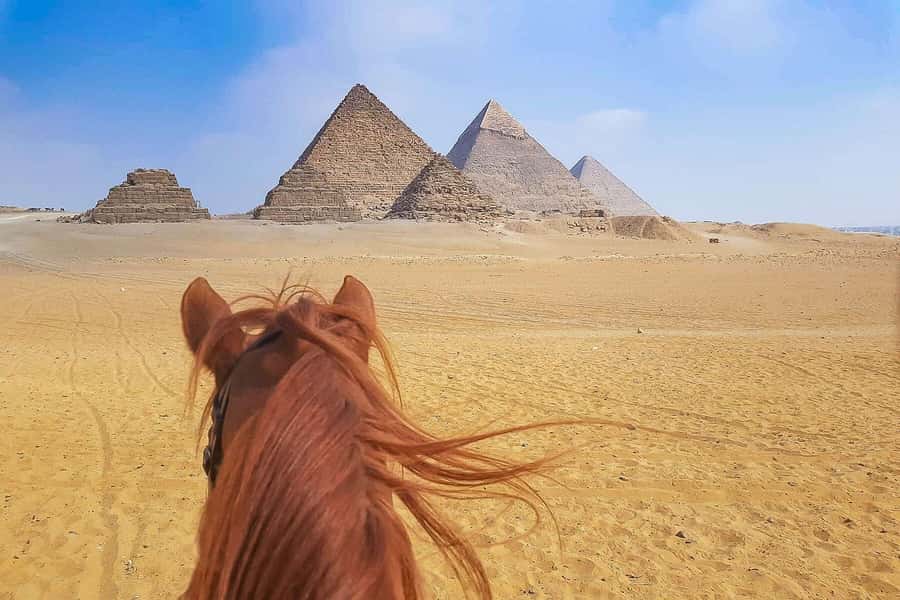 From Cairo or Giza: Giza Pyramids and Sphinx Private Tour - Who should book this private Giza visit?