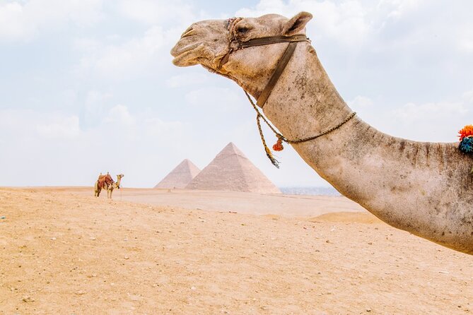 From Cairo: Private Crowd Free Half Day Pyramids Adventure - Seeing Cheops, Khafre, and Menkaure up close