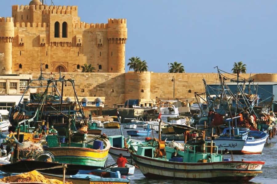 From Cairo: Private Full-Day Tour of Historical Alexandria - Cairo to Alexandria takes patience
