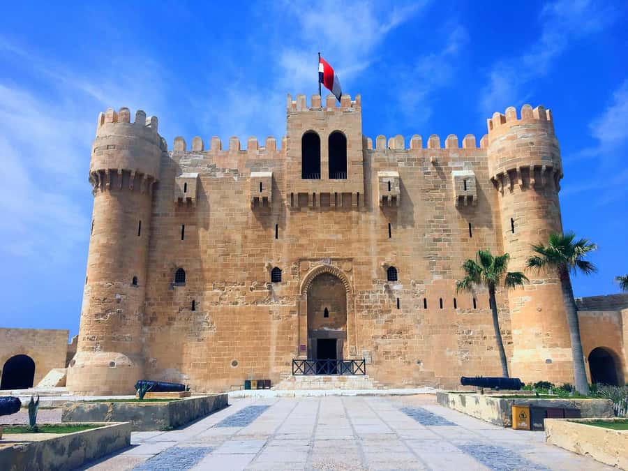 From Cairo: Private Full-Day Tour of Historical Alexandria - Lunch is part of the value, but ask what is served
