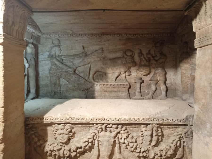 From Cairo: Private Luxurious Day Trip to Alexandria - What this Cairo to Alexandria day trip is really like