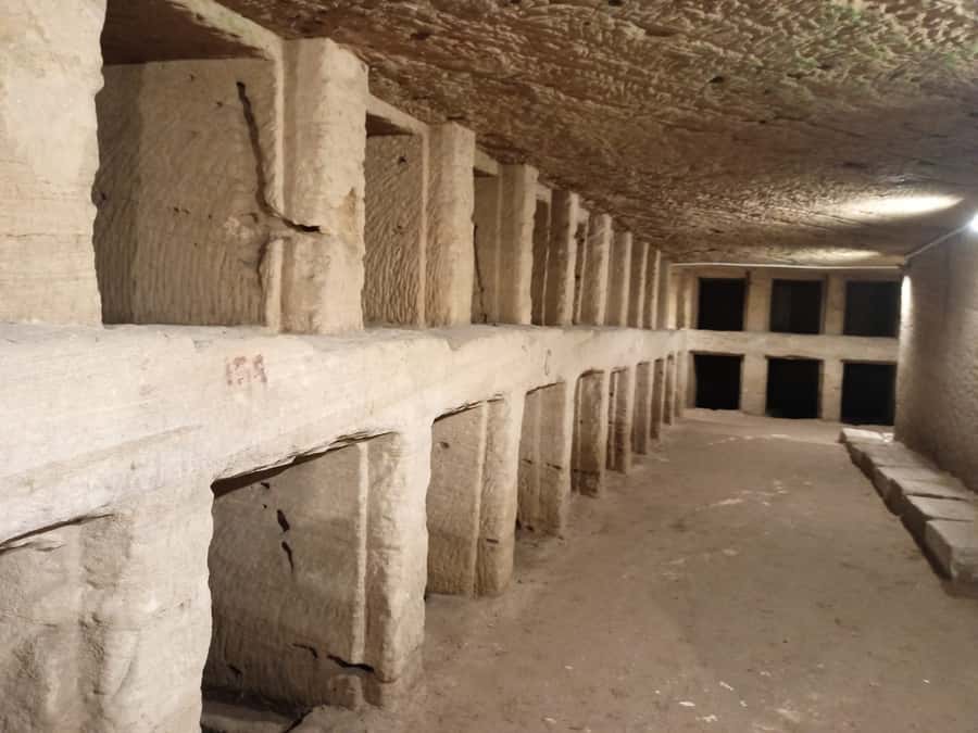 From Cairo: Private Luxurious Day Trip to Alexandria - Bibliotheca Alexandrina and Alexandria’s modern identity