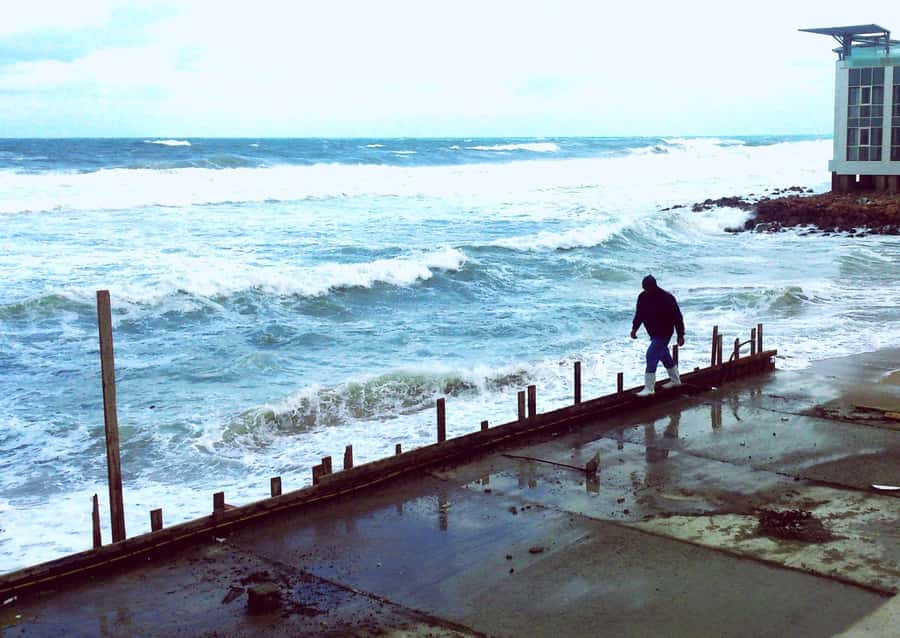 From Cairo: Private Luxurious Day Trip to Alexandria - Pompey’s Pillar and the Serapeum in 45 minutes