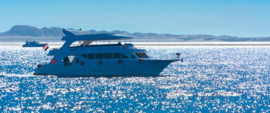 From Cairo: Snorkeling Trip on Yacht with Lunch - Key points at a glance