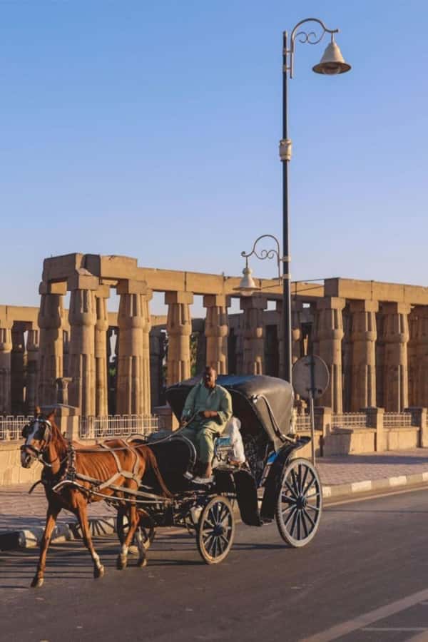 From Cairo: Trip to Luxor By Flight and King Tut Tomb Visit - Is $150 good value for this Luxor day trip?